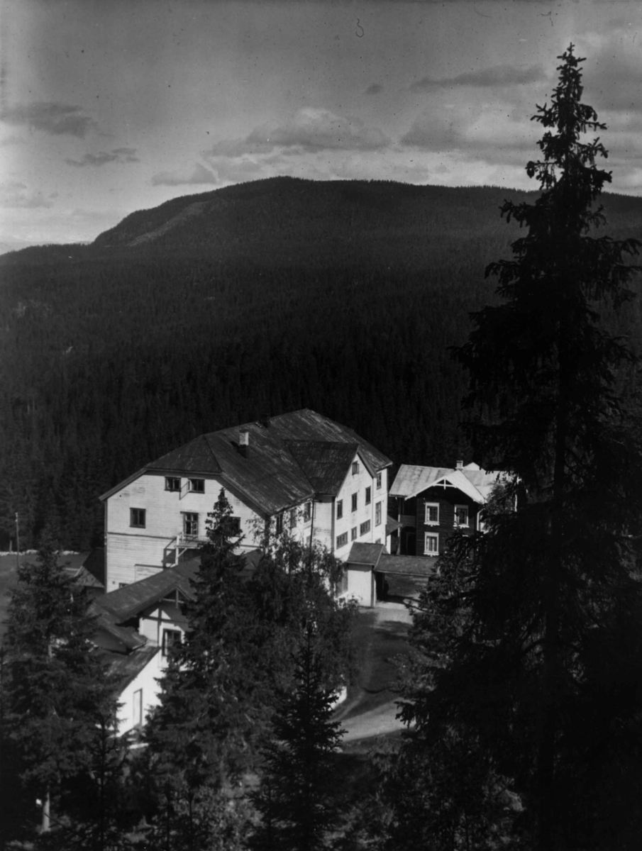 Anders Beer Wilse, Breidablikk Hotell Valdres