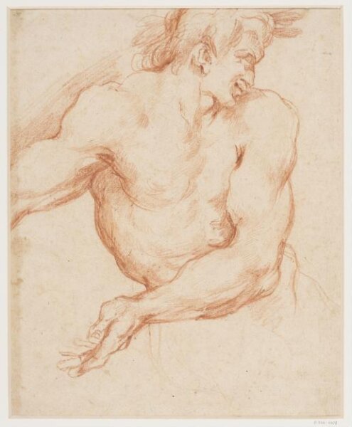 Unknown, Head and torso of a faun