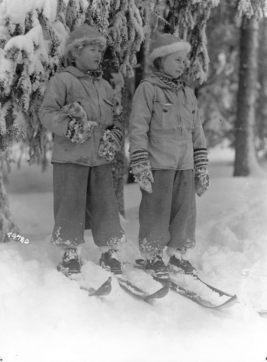 Anders Beer Wilse, Prot: Prinsessene skogen