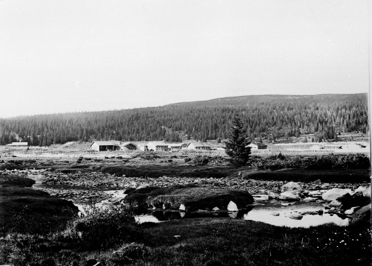 Anno Domkirkeodden, Oversikt setervollen på Gammelskolla seter, Ringsakerfjellet.