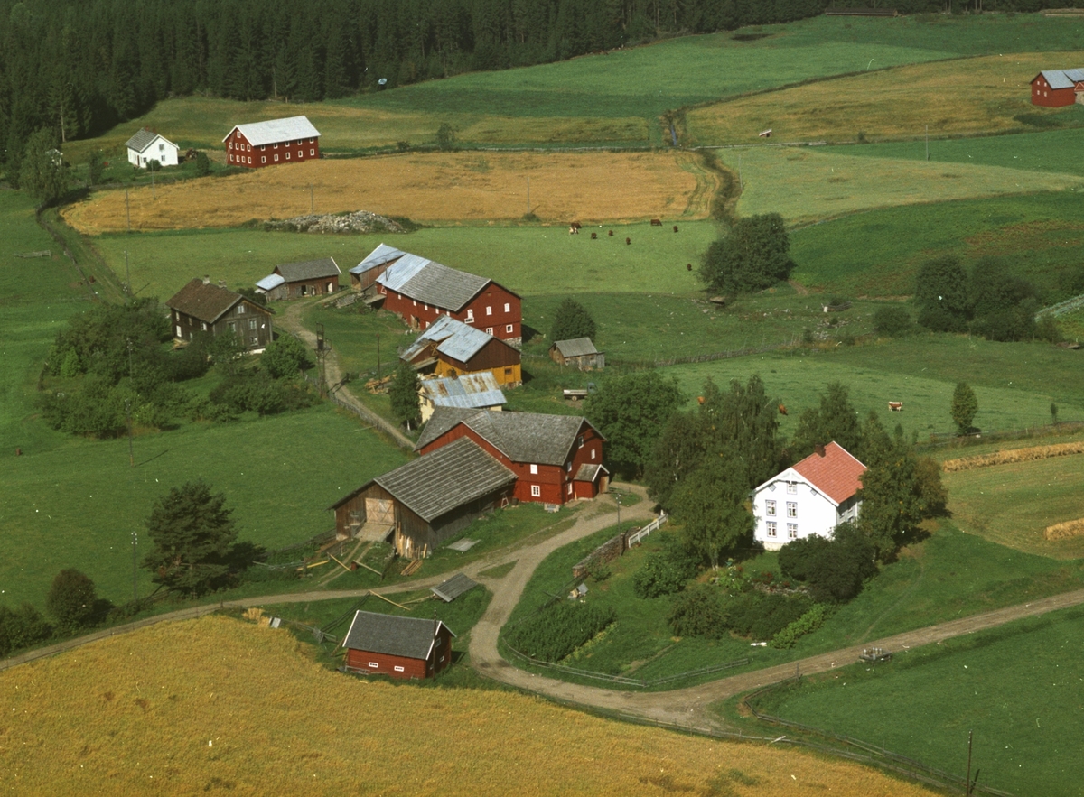 Widerøes Flyveselskap A/S, Flyfoto, Kroksrud østre og vestre, Nysvea, Gaupen, Ringsaker.