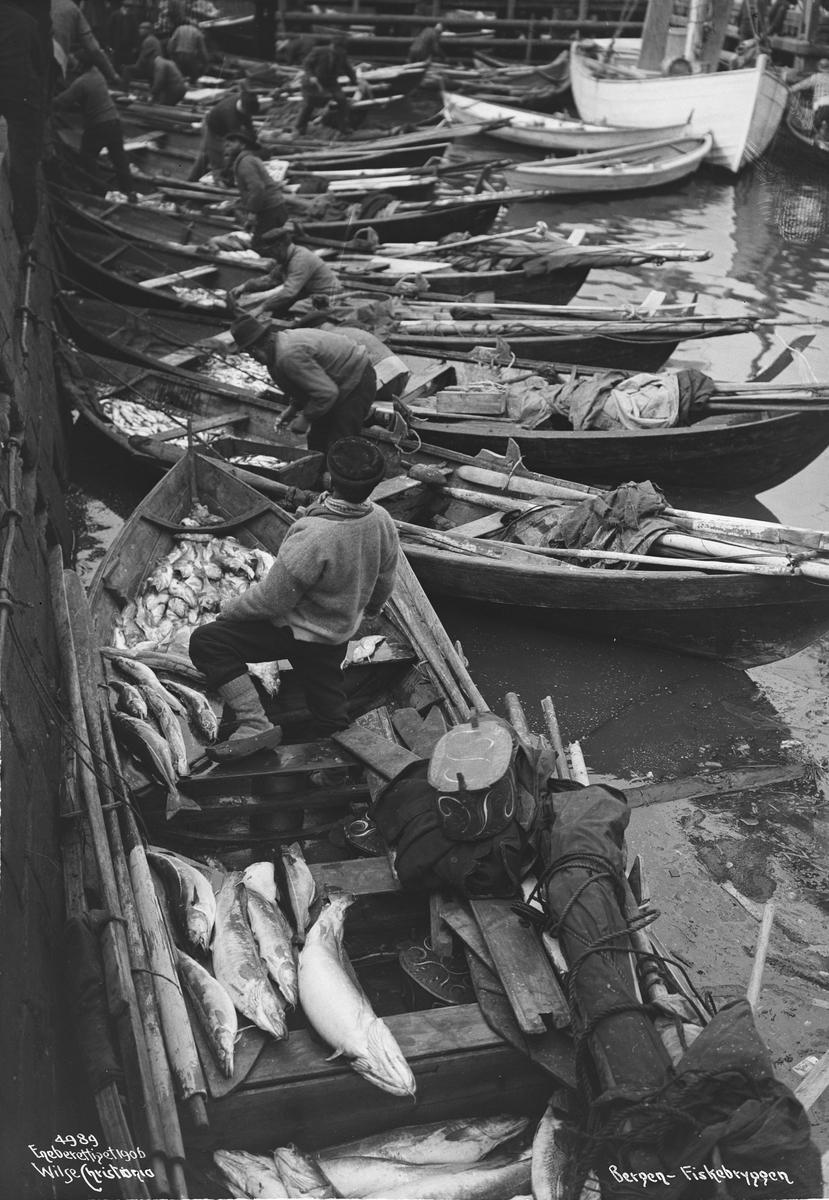 Anders Beer Wilse, Prot: Bergen Fiskebryggeliv Juni