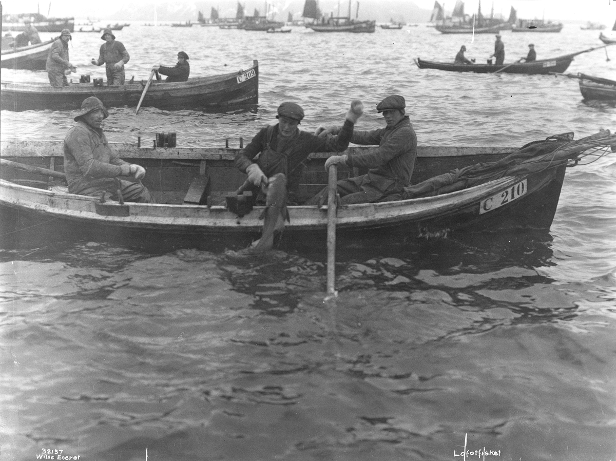 Anders Beer Wilse, Prot: Lofotfisket. Fisken hales op