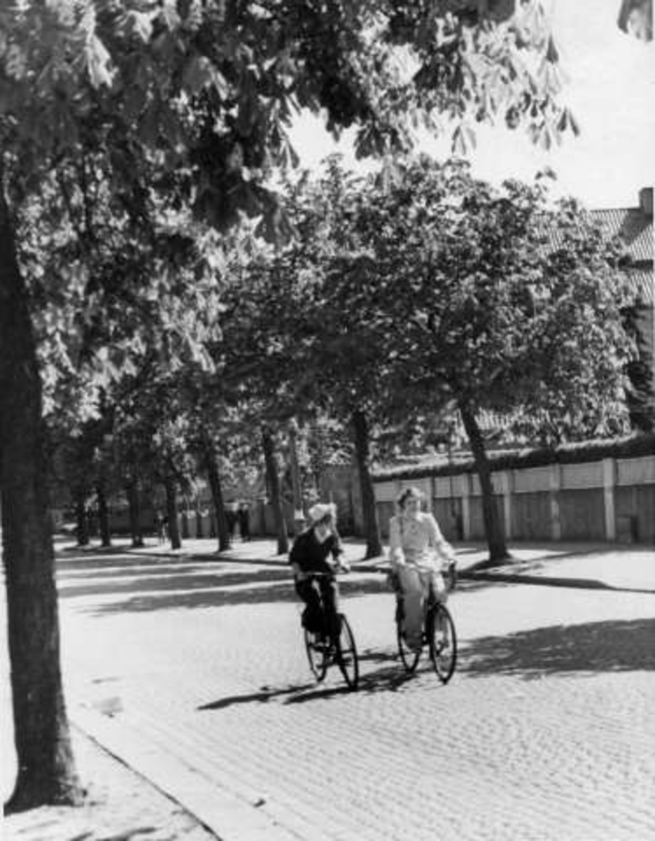 Anders Beer Wilse, -6268