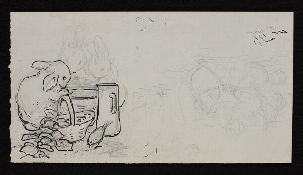 Potter, Beatrix, drawing