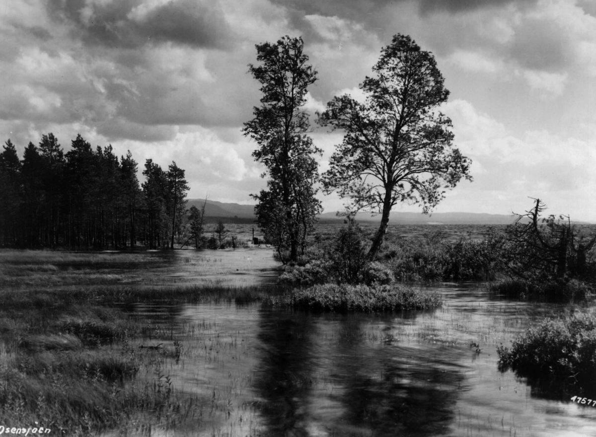 Anders Beer Wilse, Ossjoen, Landskap