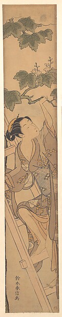 Suzuki Harunobu, Young Woman Climbing a Ladder