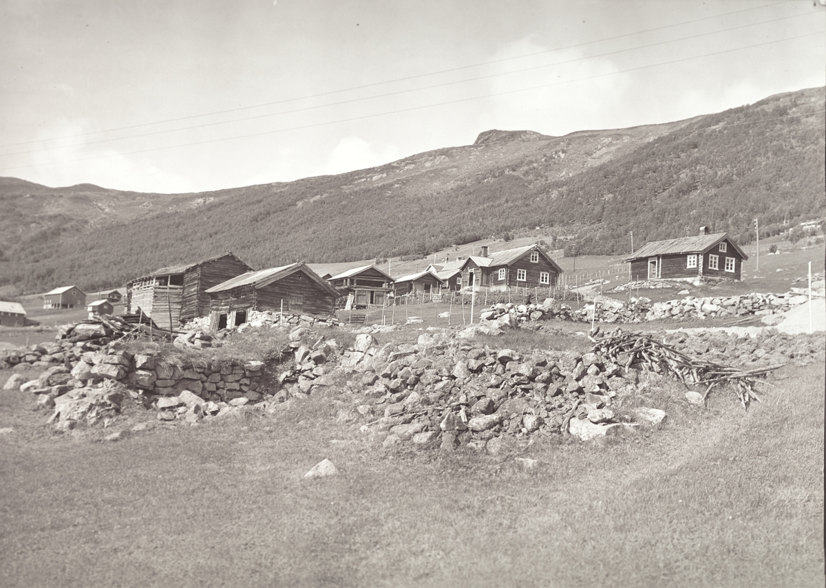 Anders Beer Wilse, Prot: Ustedalen gård steinhaug