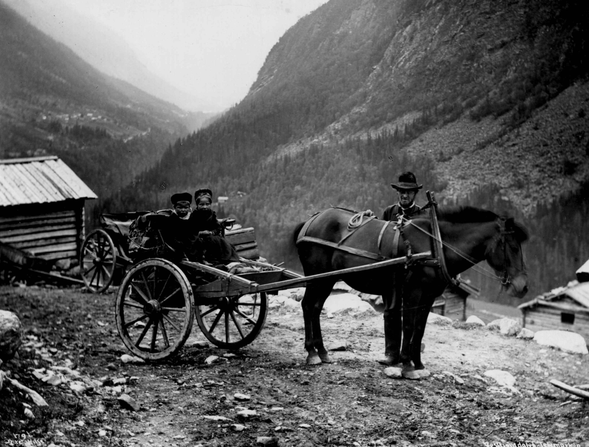 Anders Beer Wilse, Samferdsel, stolkjerre, Våer, Vestfjorddalen.