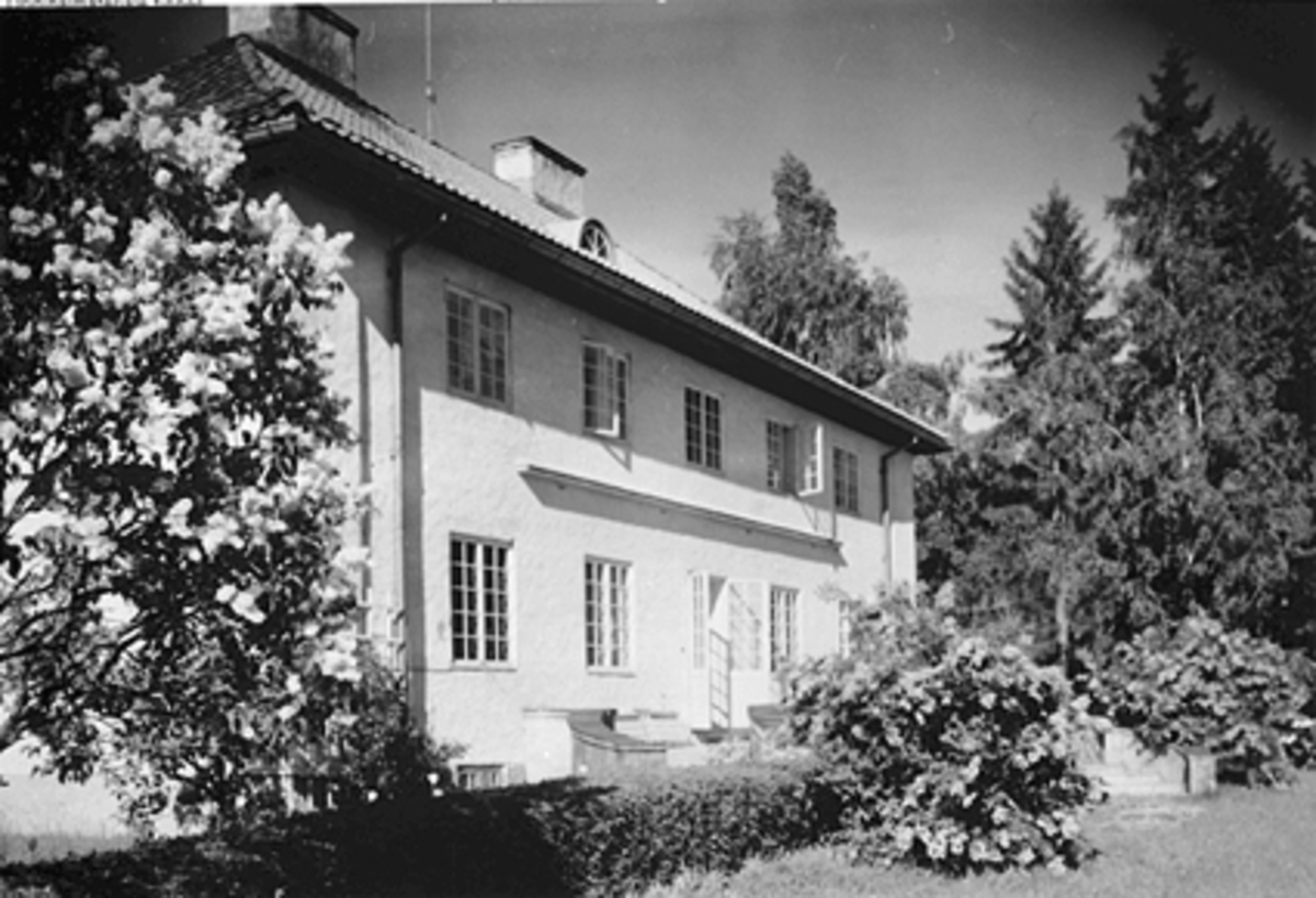 Anno Domkirkeodden, EKSTERIØR HAMARHUS MOT HAGEN, ALUVEGEN 42