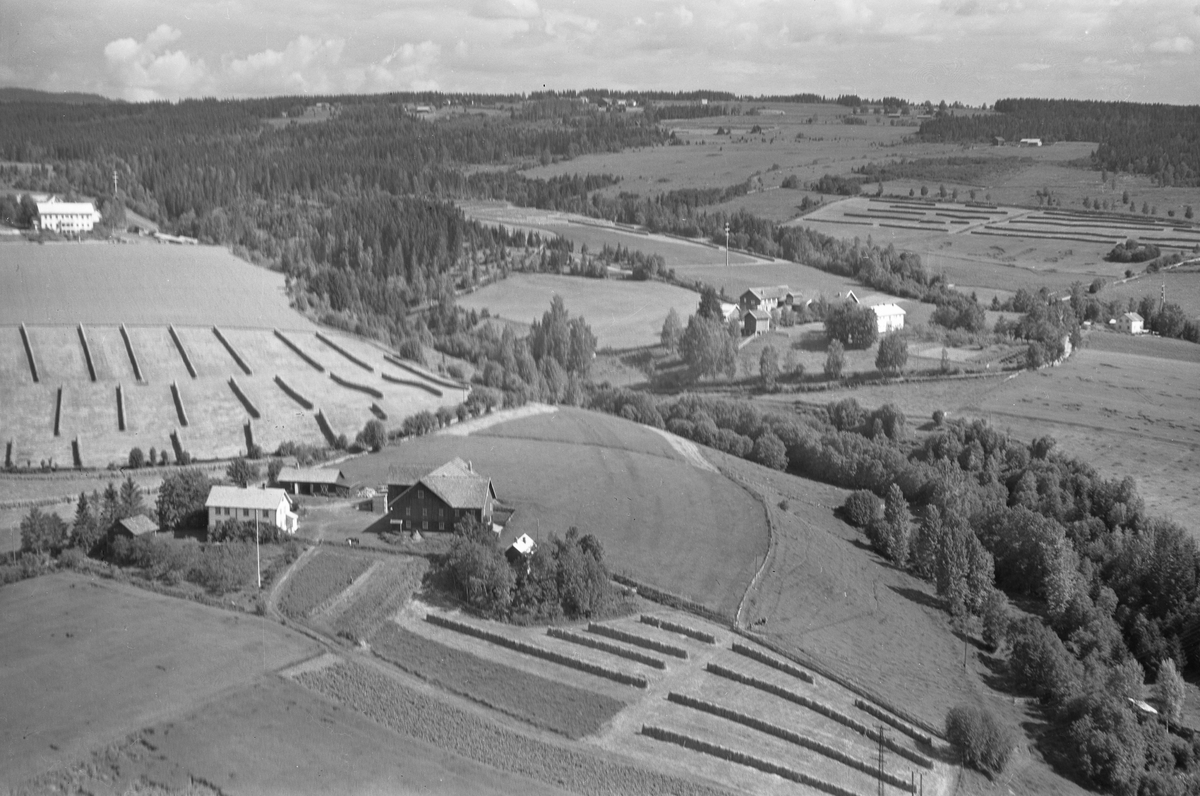 Anno Domkirkeodden, Flyfoto av Røhr gard, Veldre, Ringsaker.