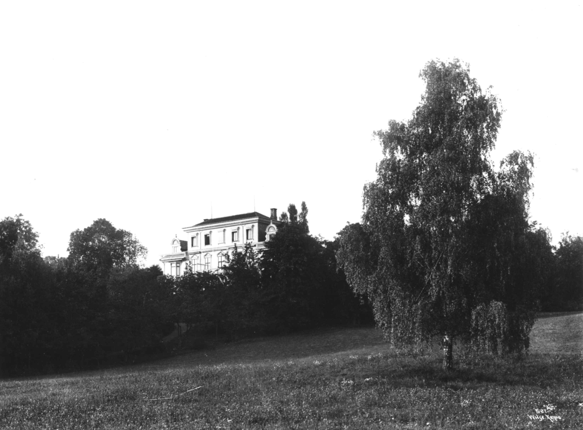Anders Beer Wilse, Skøyen hovedgård, Oslo 1903. Huset sett fra parken.