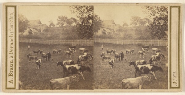 Adolphe Braun, [Pastoral scene with herd of cattle]