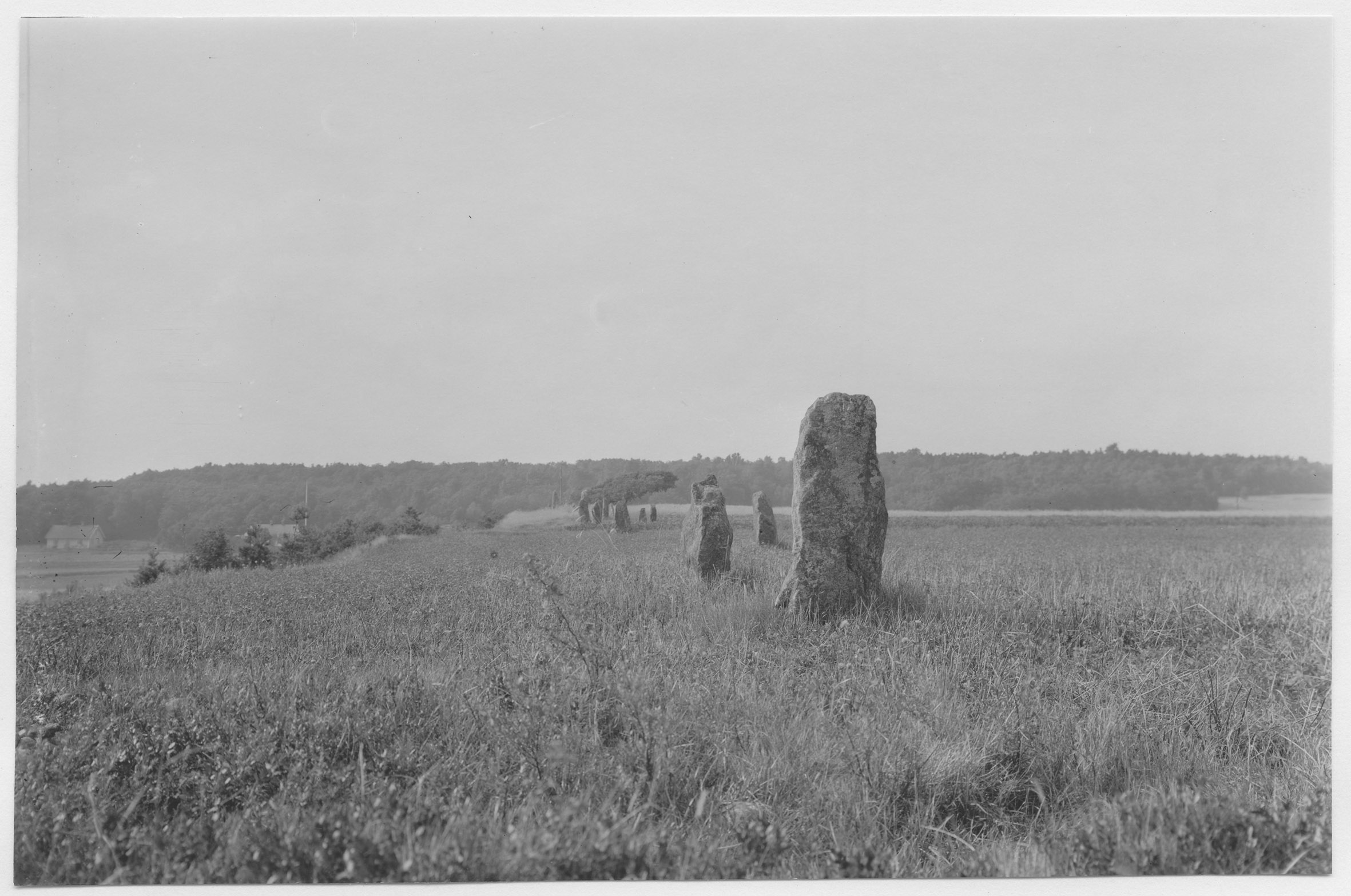 Mårten Sjöbeck, Tjärby