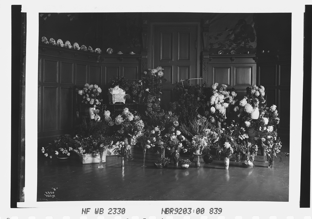 Anders Beer Wilse, Prot: Blomster ved 50-års geburstdeag bedste