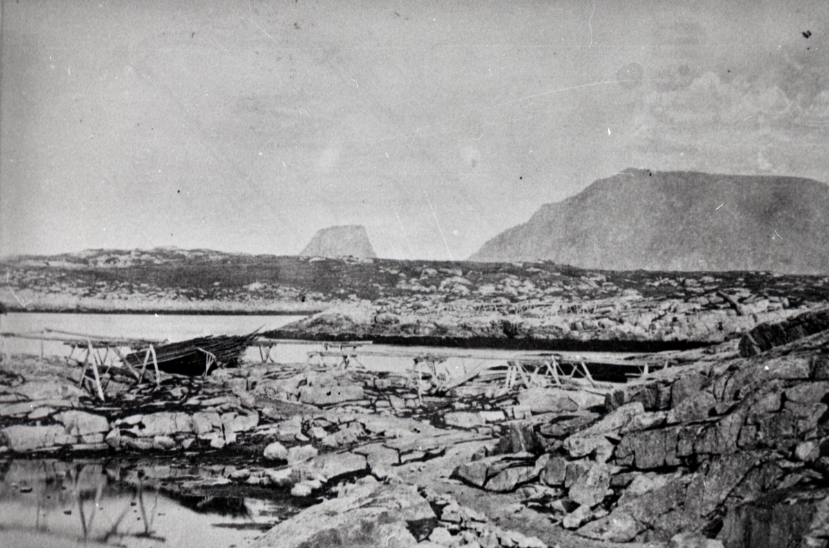 Hans Krum, NO.F000310
