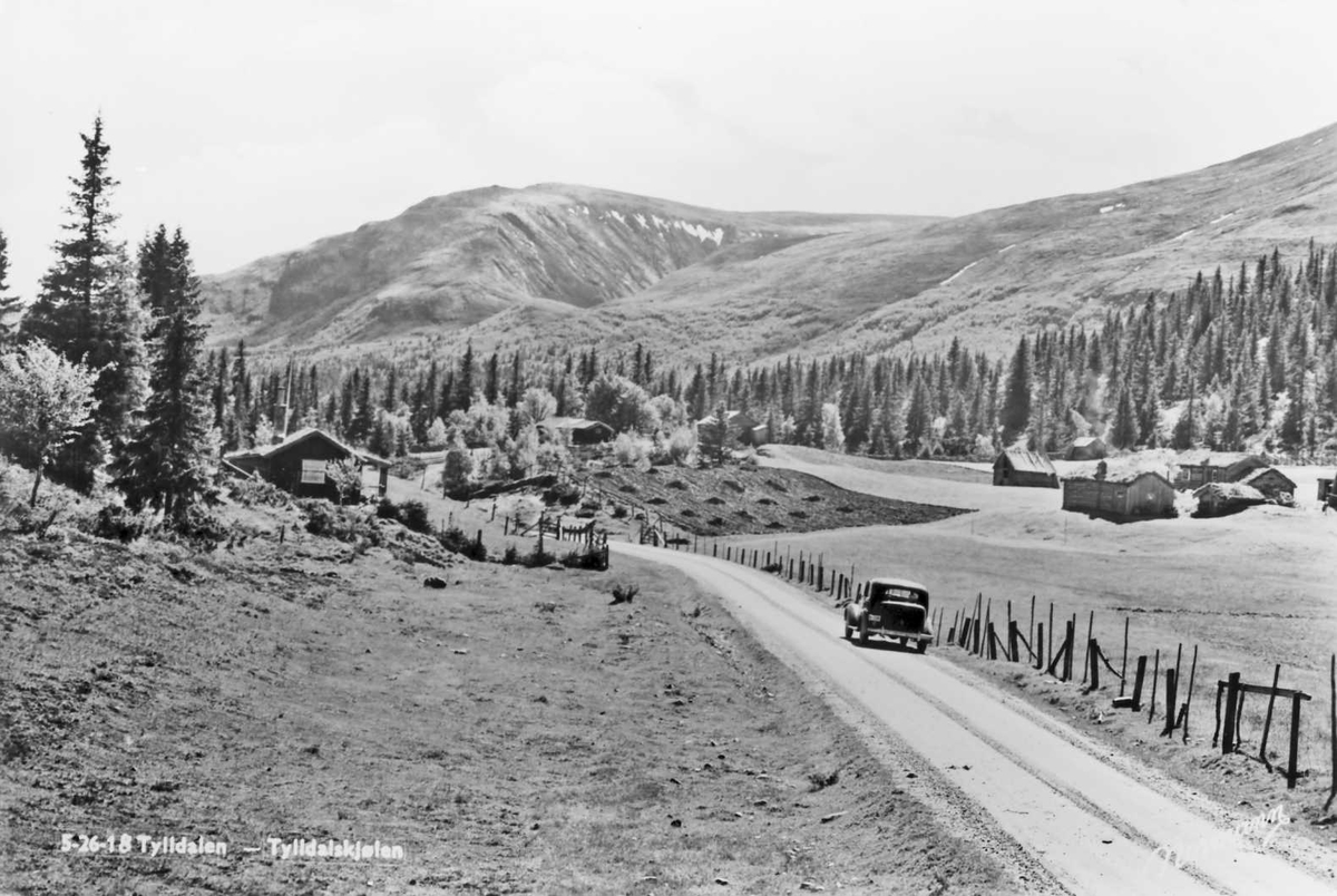 Carl Gustav Normann, "Strupen", Tylldalskjølen.