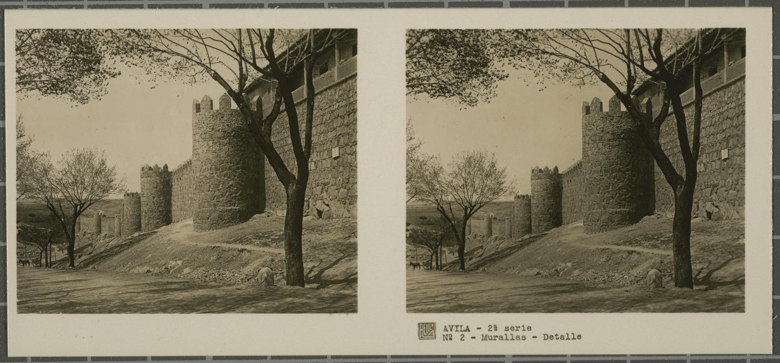 Desconegut, Avila
