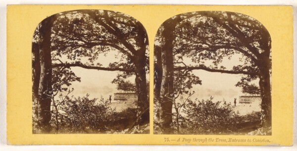 Unknown, A Peep through the Trees, Entrance to Coniston.