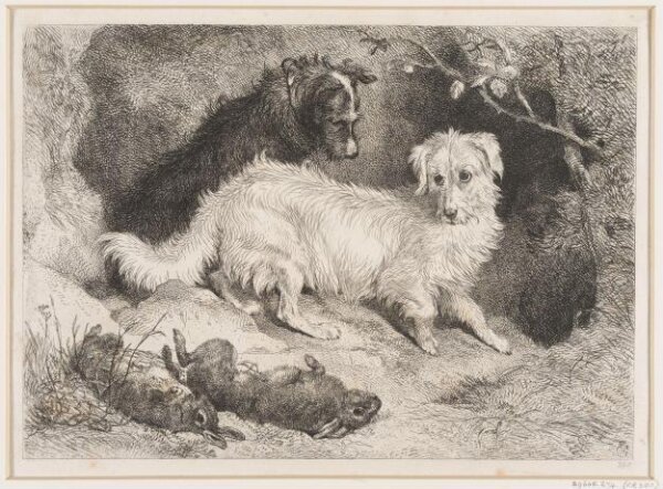 Edwin Landseer, Dogs and Rabbits