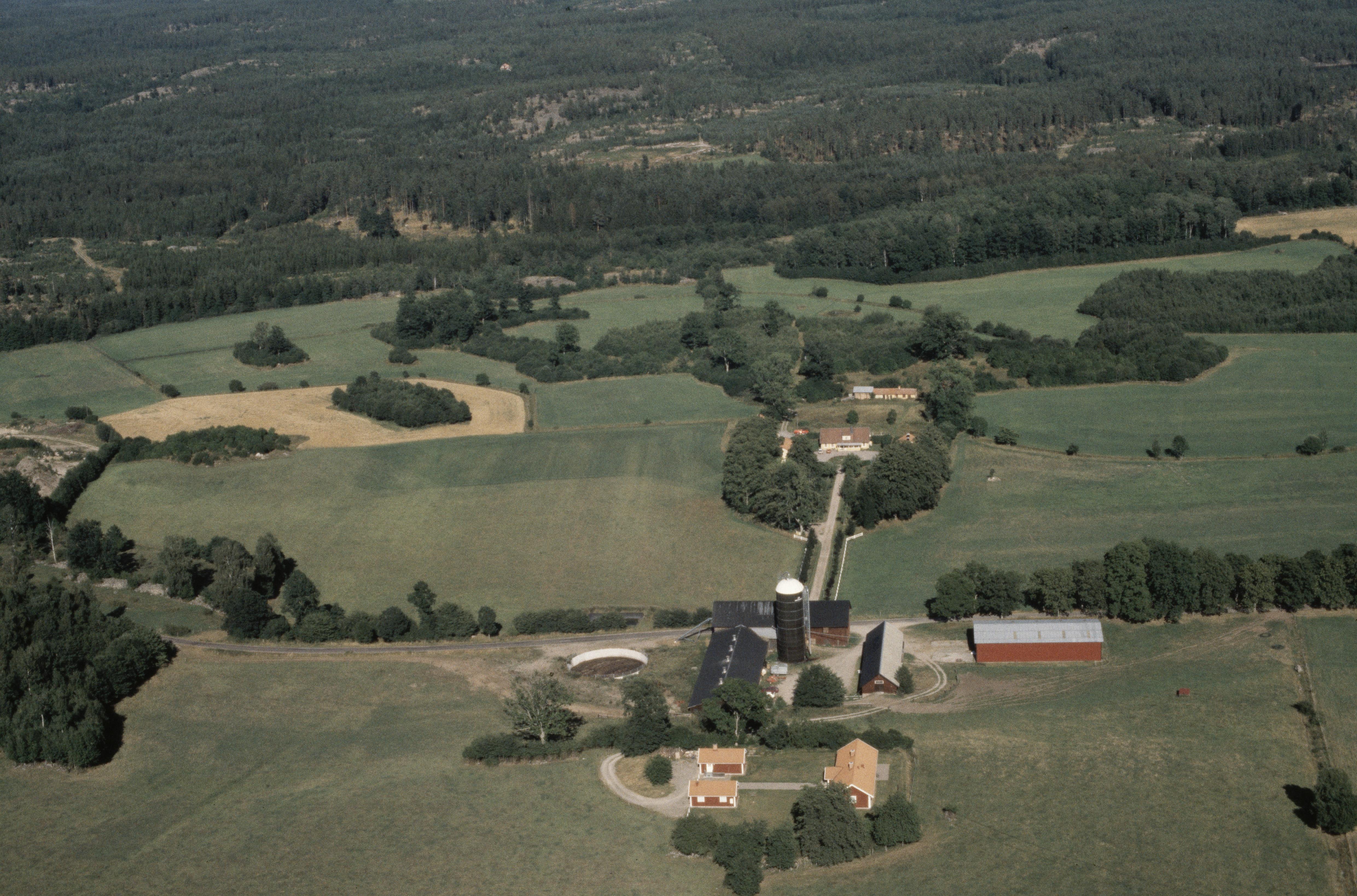 Jan Norrman, Torsfall