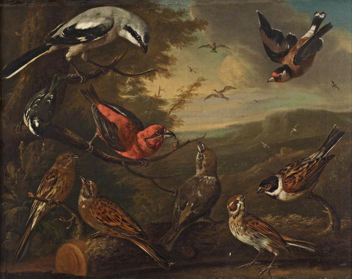 Charles Collins, British Birds: Great Grey Shrike; Goldfinch; Coal Tit; a Pair of Crossbills; a Pair of Yellowhammers and a Pair of Reed Buntings
