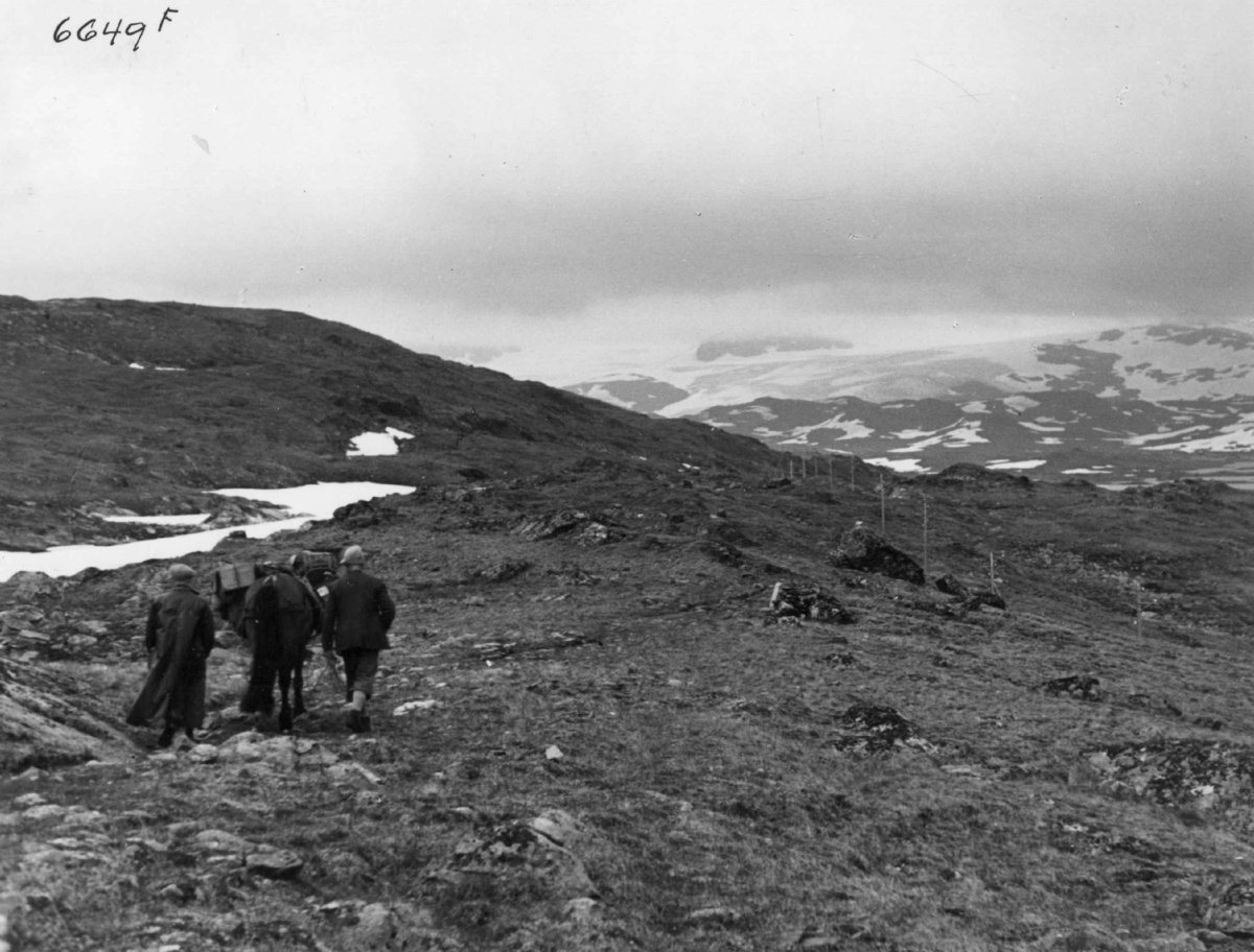Anders Beer Wilse, Med kløvhest over fjellet