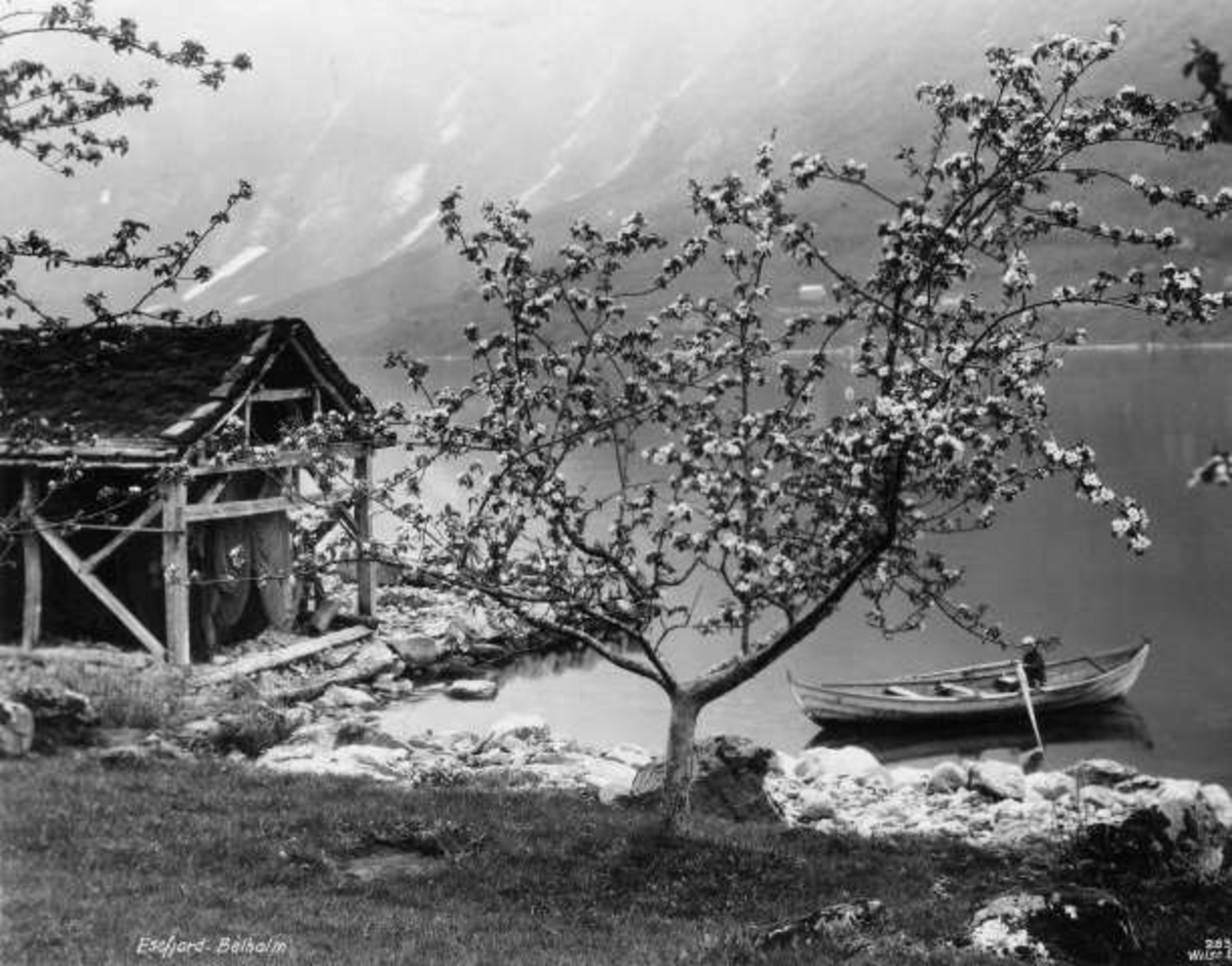 Anders Beer Wilse, -6593