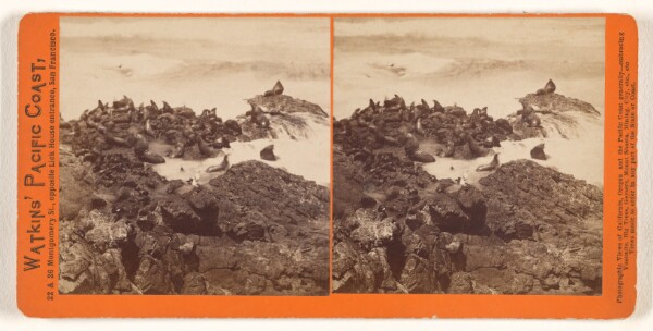 Carleton Watkins, [Seal Rocks, San Francisco]