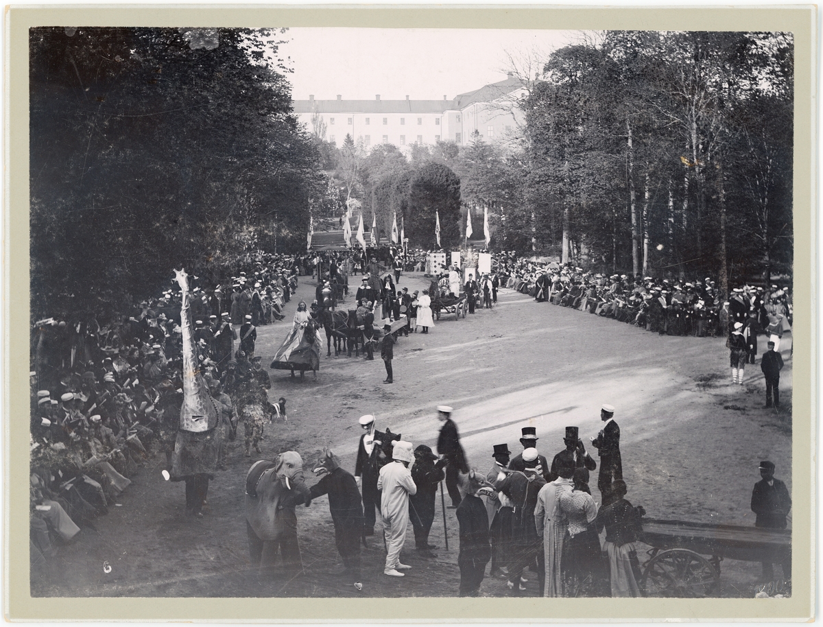 Okänd,, Uppsala studentkårs karneval 1895