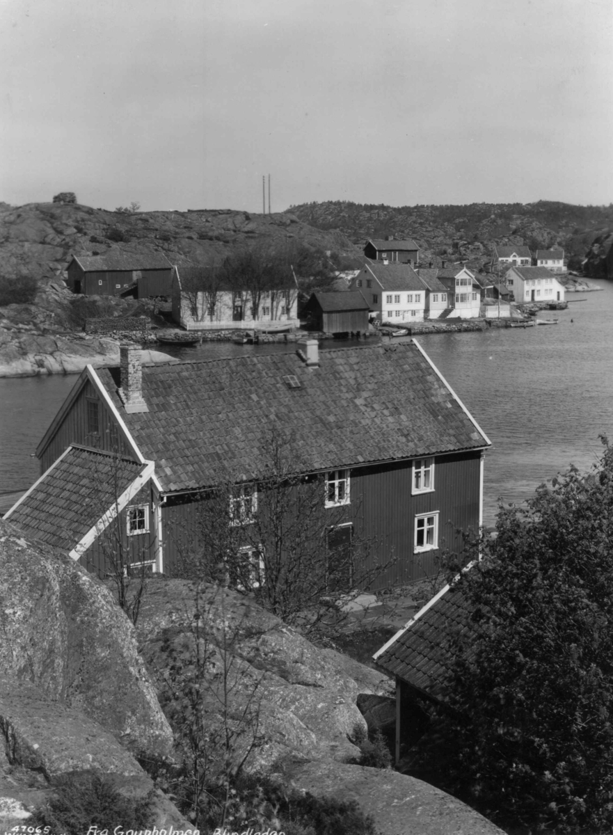 Anders Beer Wilse, Gaupholmen, Blindleia