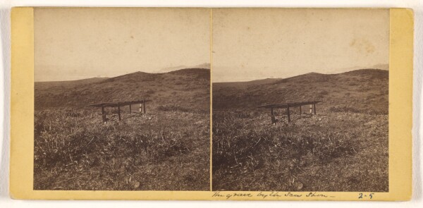 Carleton Watkins, The Grave by the Sea Shore (Mendocino)