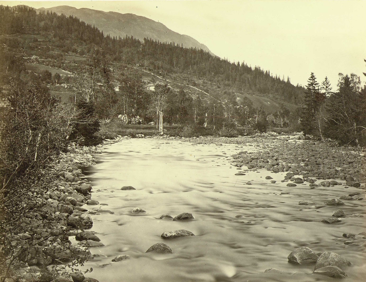 Henry Rosling, Landskap, Sauland, Hjartdal, Telemark. Fra serie norske landskapsfotografier tatt av den engelske fotografen Henry Rosling (1828-1911).