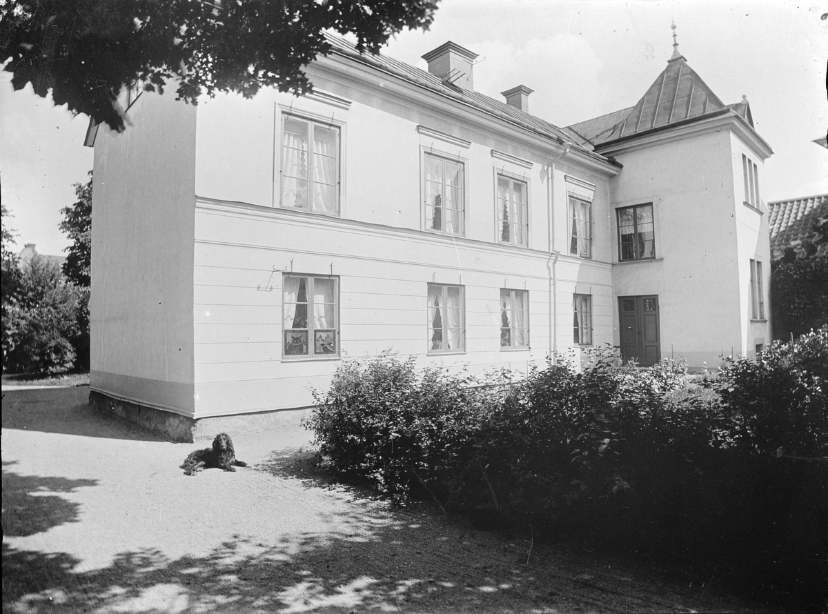 Henri Osti's Fotografiateliér, Bostadshus, Svartbäcksgatan 33, Uppsala 1913