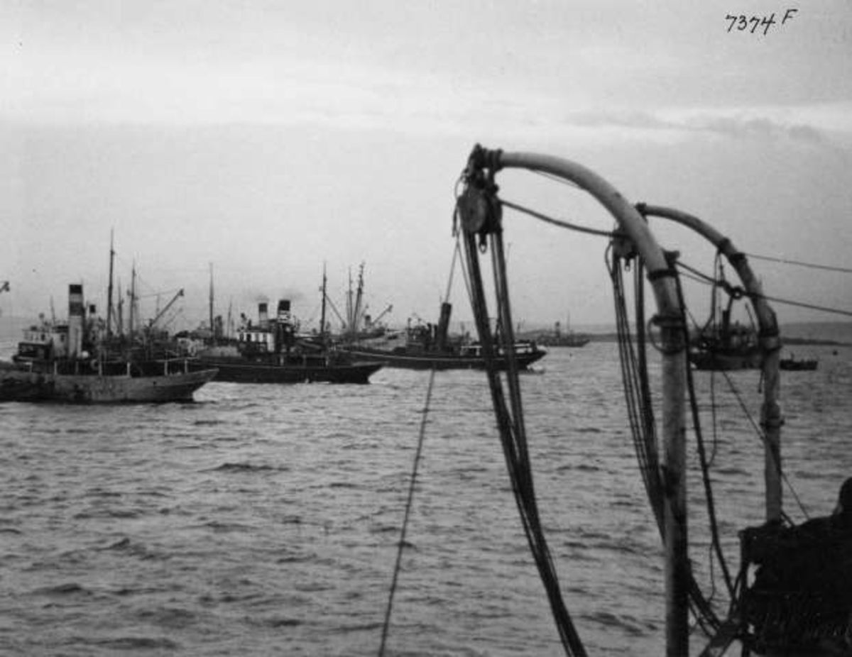 Anders Beer Wilse, -7302