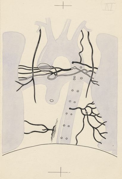 J Tinkelenberg, Part of the heart and circulatory system