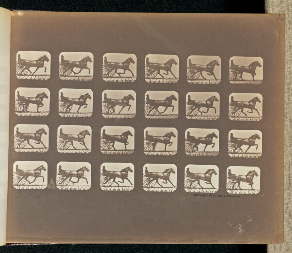 Eadweard J. Muybridge, Trotting