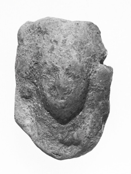 Unknown, Female Head
