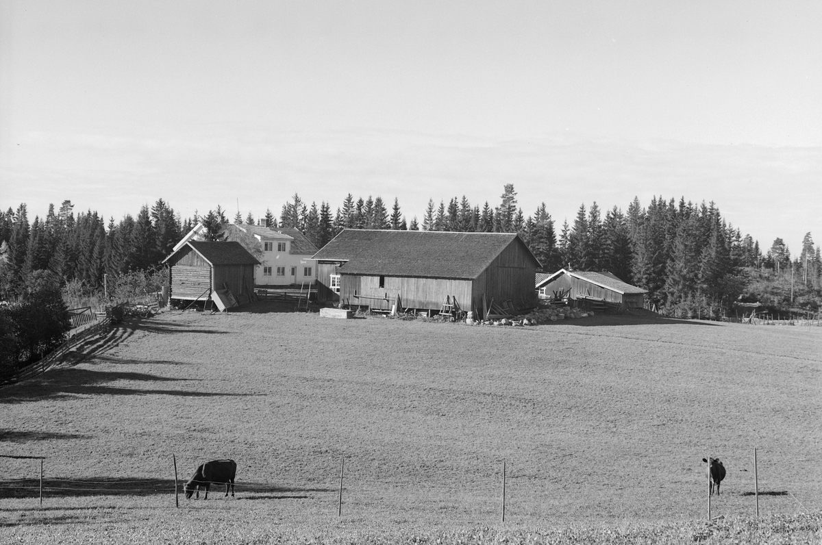 Anno Domkirkeodden, EKSTR: GARDSTUN, DOKSRUD, LØTEN. Se Løtenboka, bind 1. Bygdeboka fra 1949, side 274