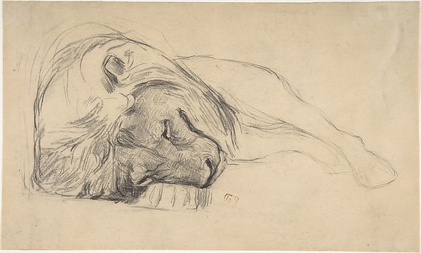 Pierre Andrieu, The Head of a Recumbent Lion