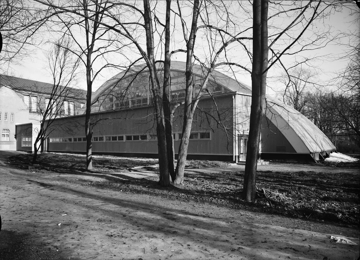 Paul Sandberg, Tennishallen, The Gymnastik, The Hospital Road, Uppsala March 1938
