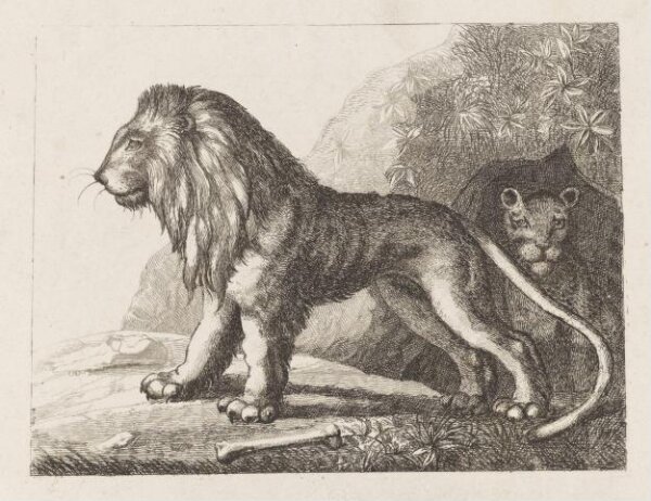 Unknown, Print