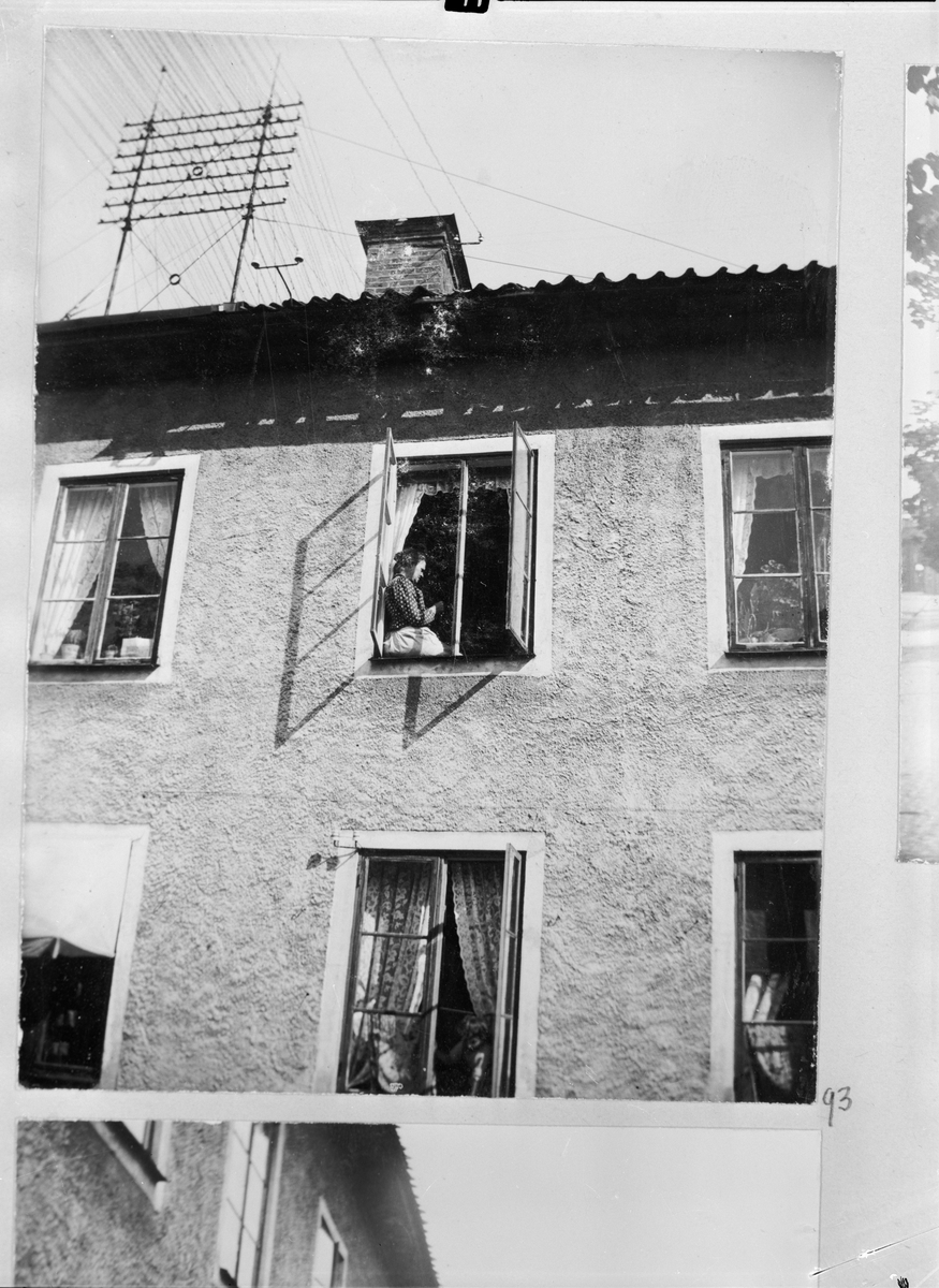 Carl Liljefors, "Lova i fönstret", Svartbäcksgatan 37, kvarteret Edda, Uppsala 1900