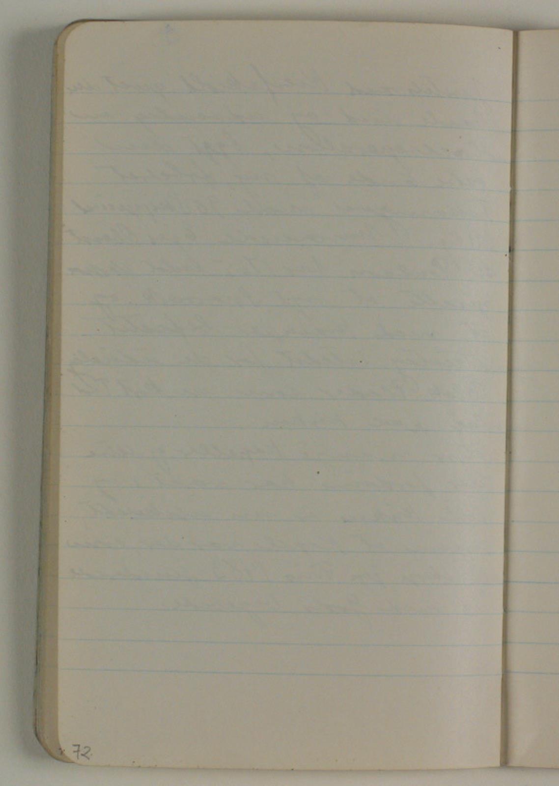 Niels Larsen Stevns, Blank