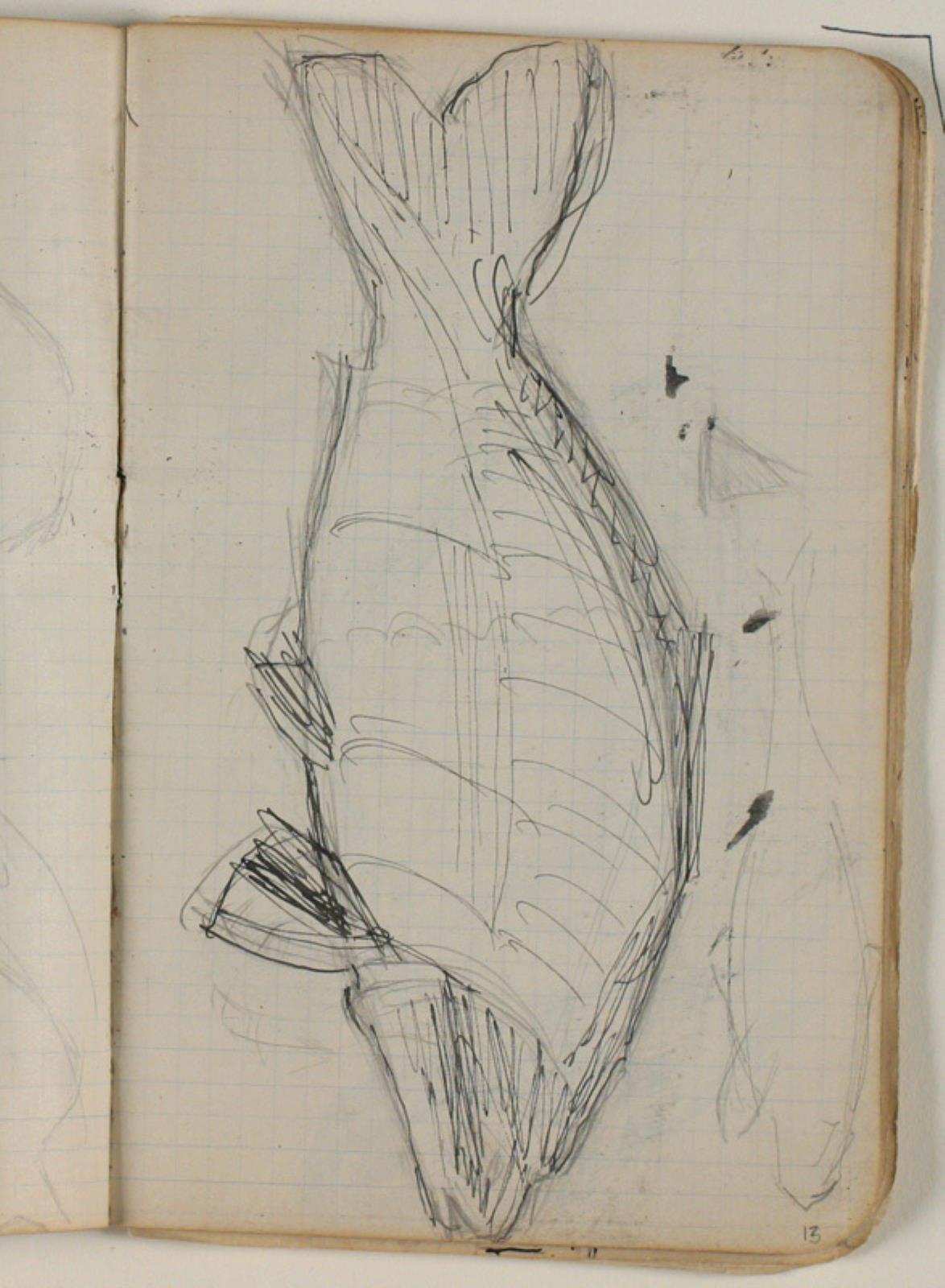 Niels Larsen Stevns, Fiskeskitser