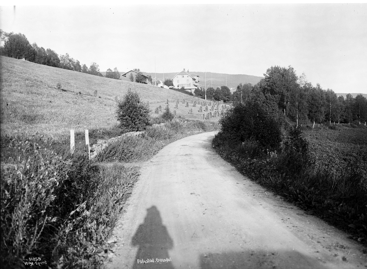 Anders Beer Wilse, Prot: Gausdal Aulestad