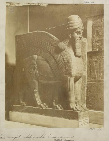 Unknown, Neo-Assyrian colossal statue of a winged lion in white marble from the North-West palace of Ashurnasirpal II, Nimrud (ancient Kalhu), northern Iraq.  London: British Museum