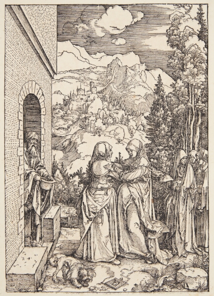 Albrecht Dürer, Besøgelsen