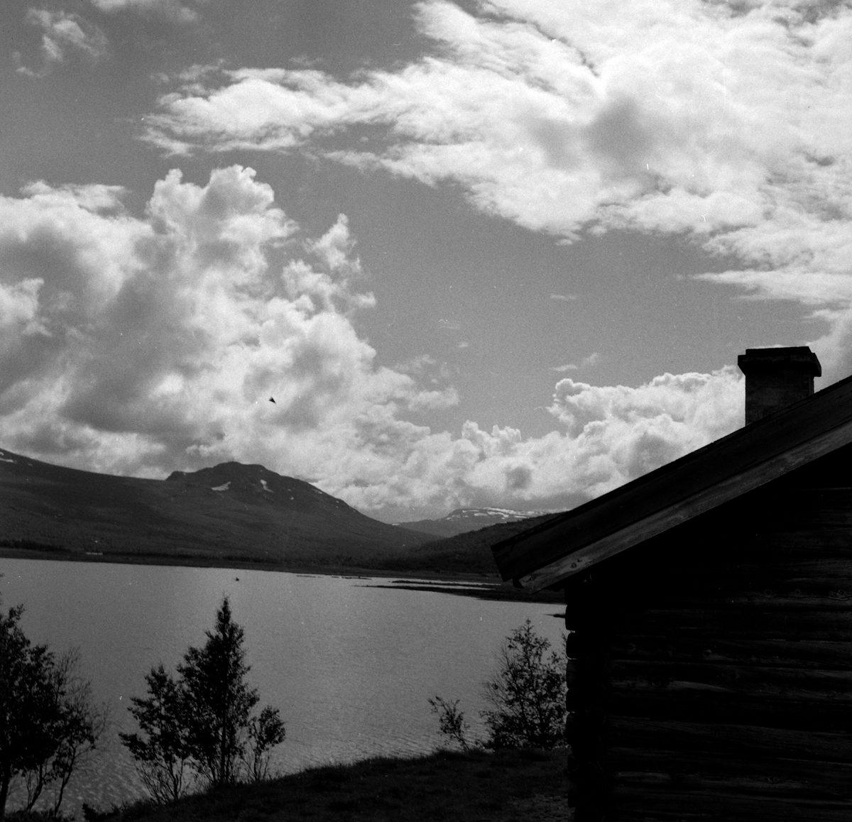 Adolf Skjegstad, ASK-02347