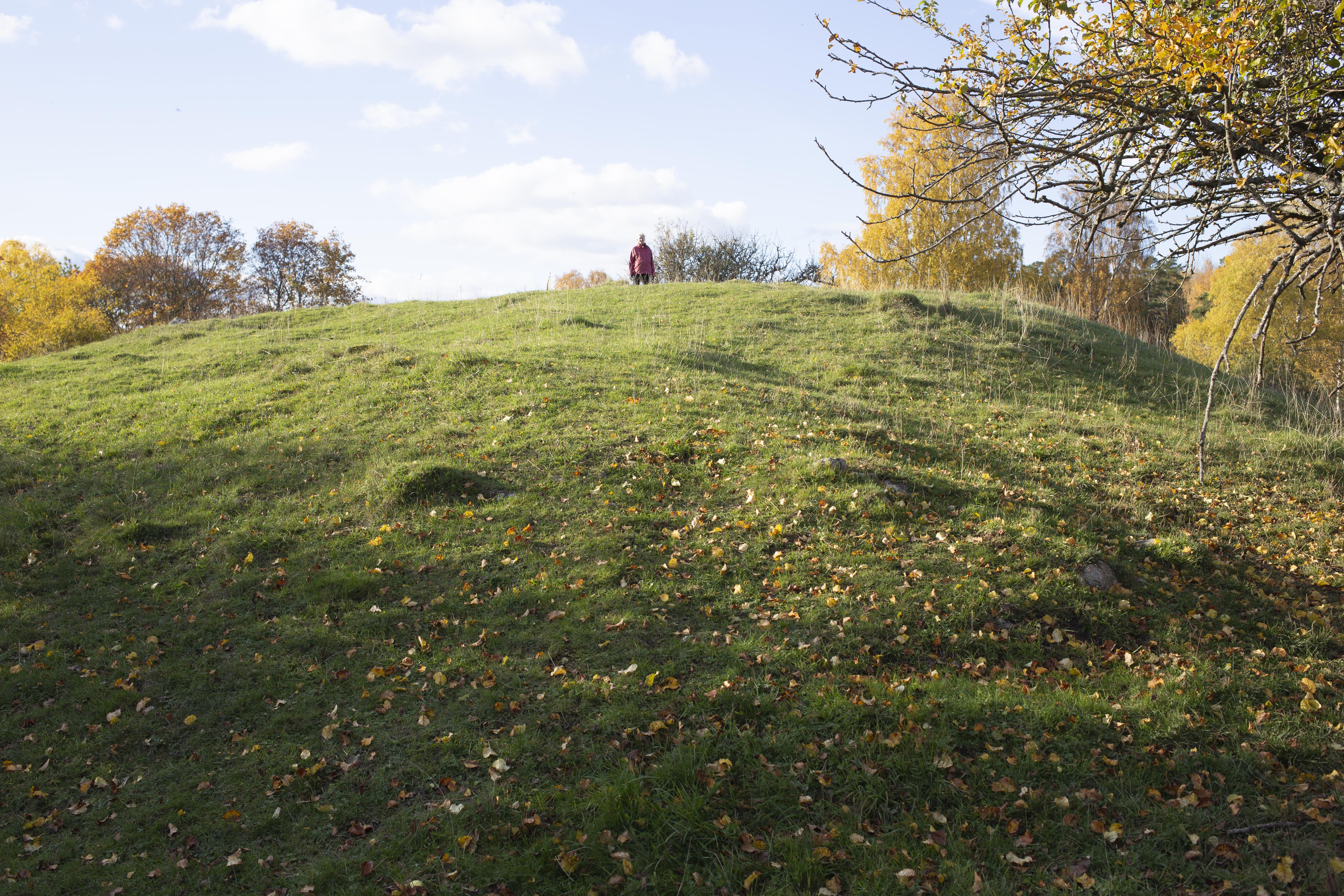 Leif Gren, Alsnö hus